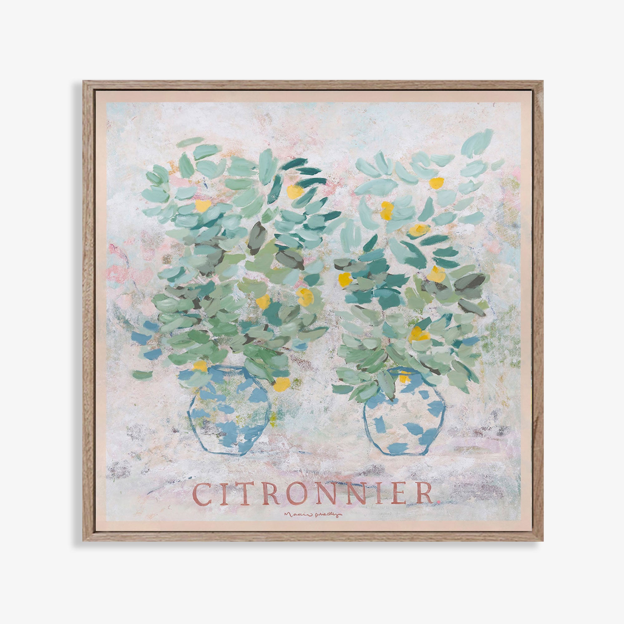 Citronnier - Limited Edition Print - Marcia Priestley