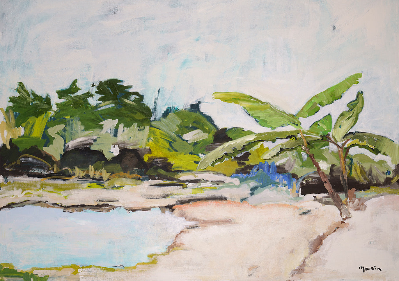 Musa Plant - Limited Edition Print - Marcia Priestley